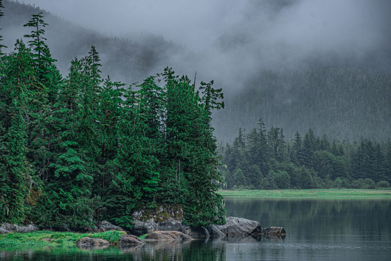 Clayoquot Wilderness & Pacific Rim